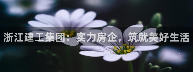澳门永利误乐城图片