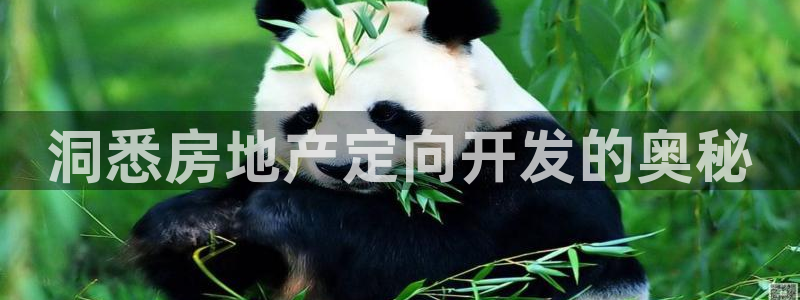 鄂州永利房地产怎么样