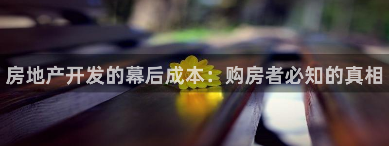 永利返利