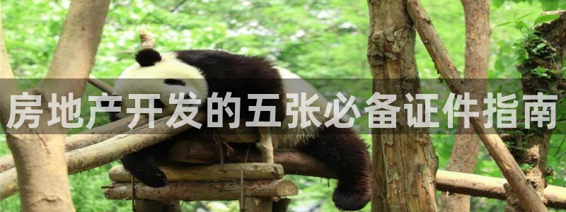 永利保险公司介绍
