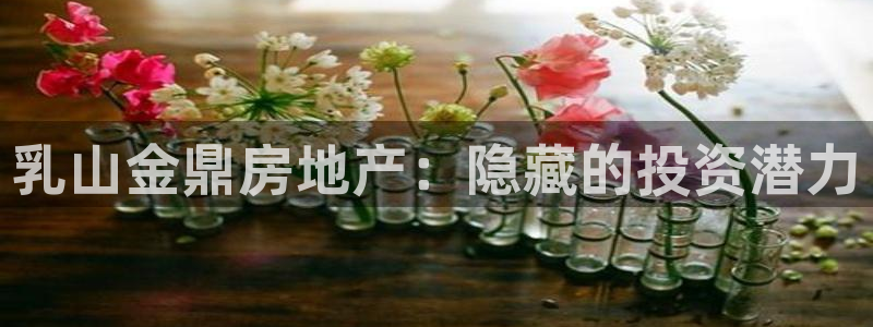 永利集团304am官方入口