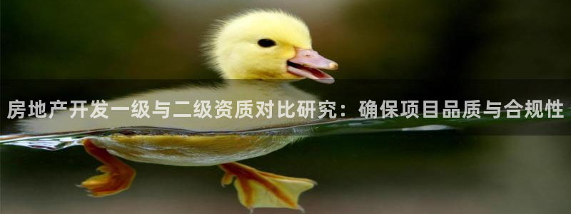 永利地产