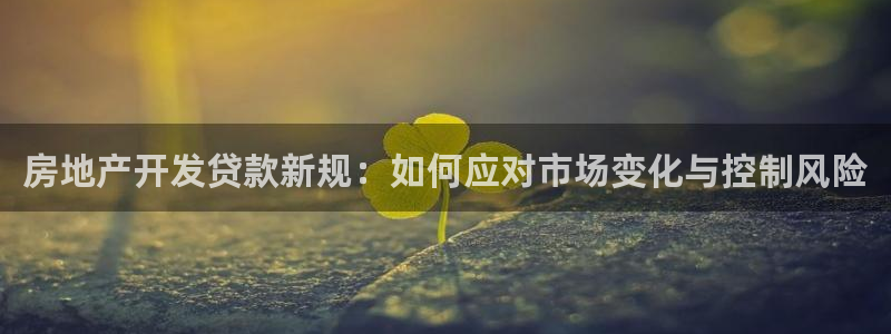 永利鞋业