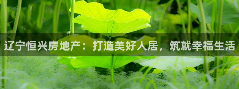 永利纺织有限公司