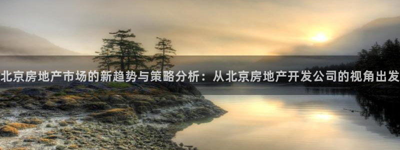永利保险公司排名