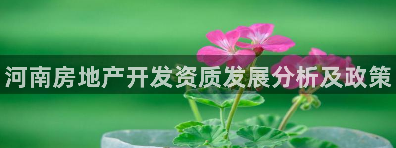 9900777z永利网