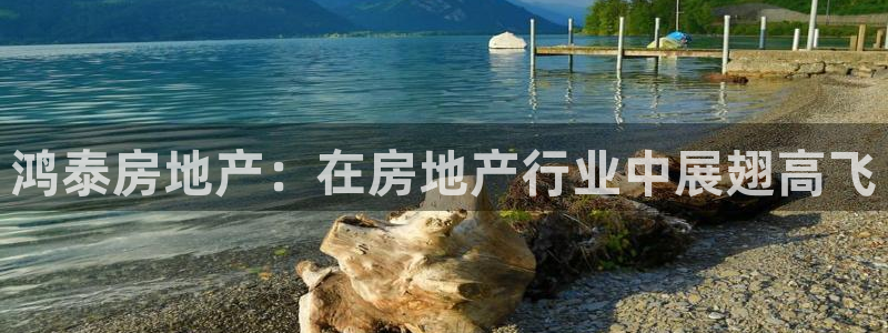 永利皮带官网旗舰店