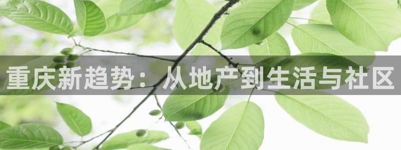 永利皇府黄立青