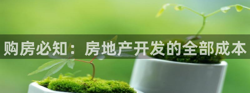 永利皮带官网价格查询系统