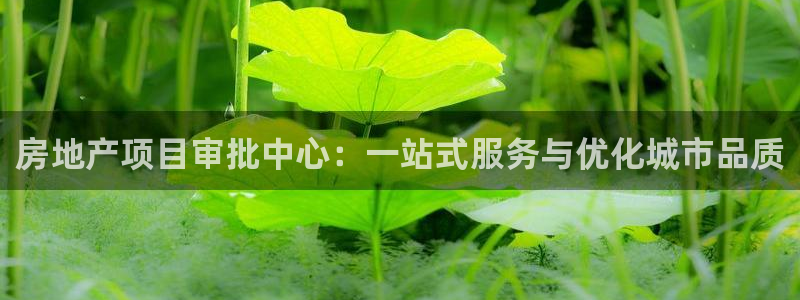 永利金文化有限公司