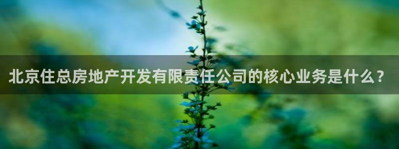 佛山永利工业皮带厂家