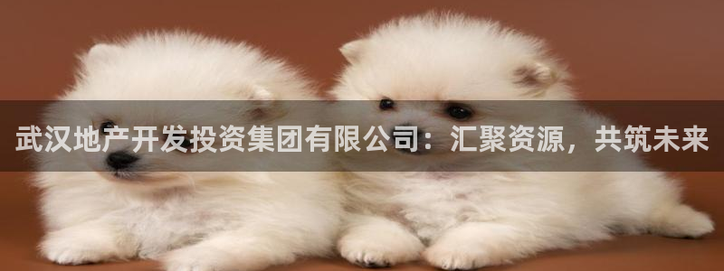 山东永利新材料