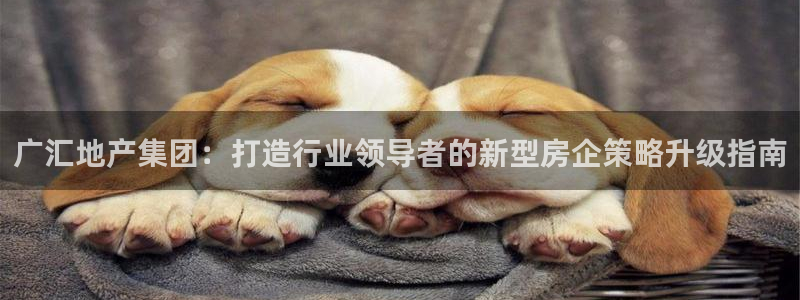 永利皮带型号说明书图片