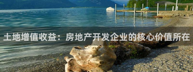 为什么永利会打不开了