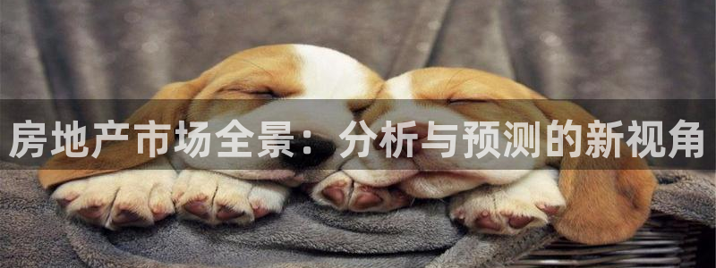 永利能源开发有限公司