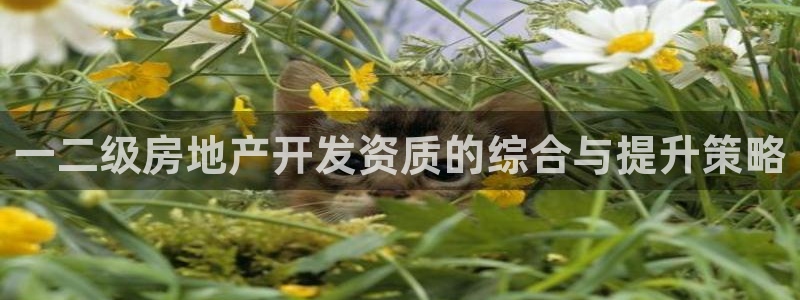 永利皇府黄立青简历