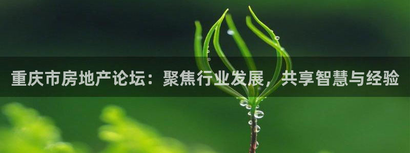 永利网9900777邀请码