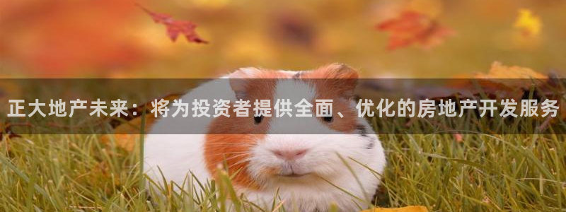 永利提现什么时候到账