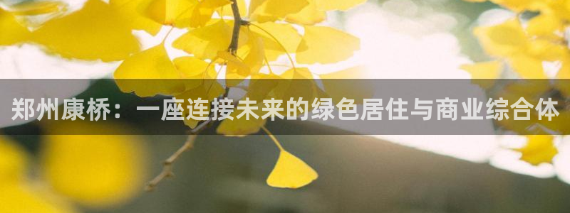 3044am永利集团公司背景