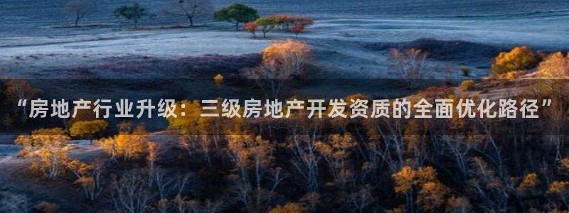 永利铔厂总技师长