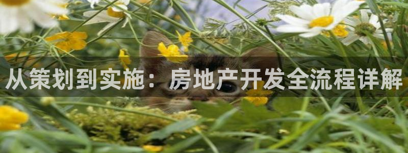 永利输的钱可以弄回来吗